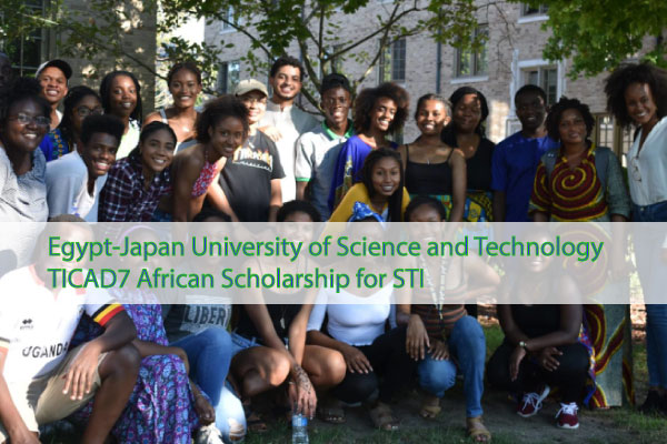 Egypt-Japan University of Science and Technology TICAD7 African Scholarship for STI (Fully-funded)