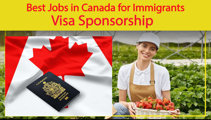The Best Jobs in Canada for Immigrants: Your Path to Success