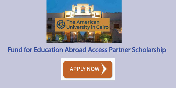 Fund for Education Abroad Access Partner Scholarship