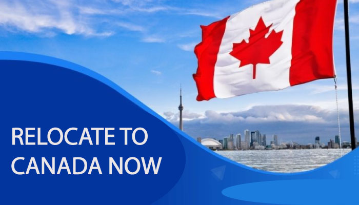 Need a Job In Canada? Here Are Different Categories of Canada Work Visas Available For You