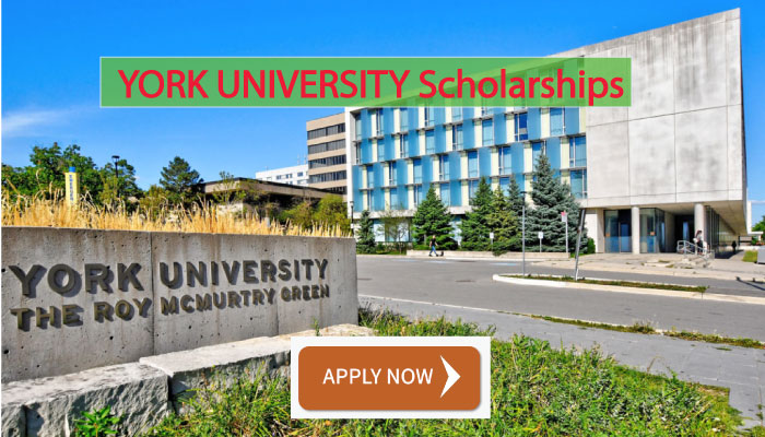 YORK UNIVERSITY Scholarships for International Students